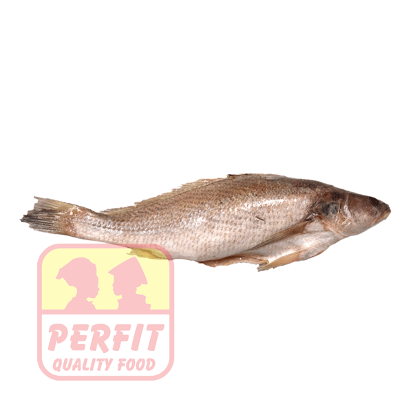 Kühlware Croaker frozen 1kg