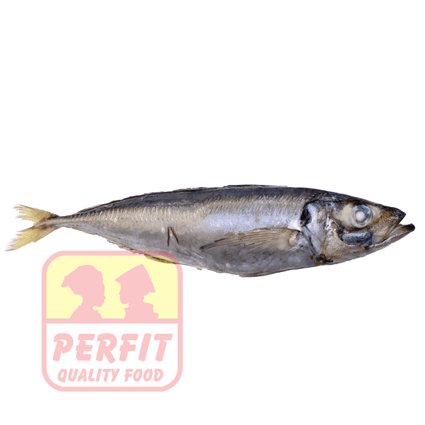 Kühlware Mackerel Horse frozen 1kg