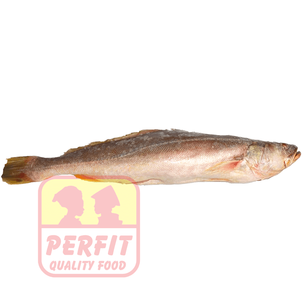 Kühlware Kandratikie frozen 1kg