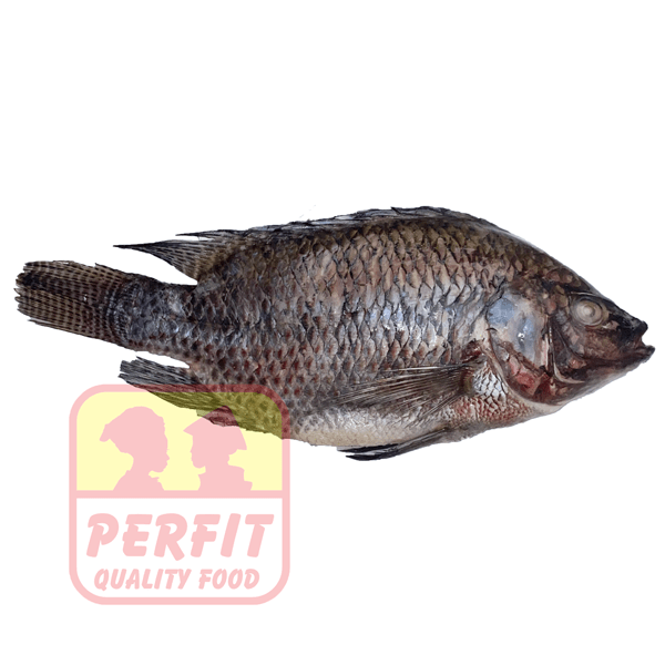 Kühlware Tilapia Black800+, frozen 1kg